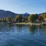 Linde - Bergerhöh