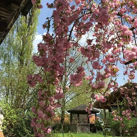 Apartamento Linde - Bergerhoeh Bad Wiessee